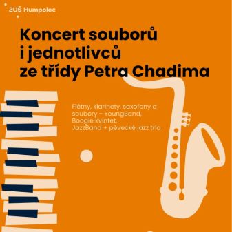 Koncert souborů i jednotlivců