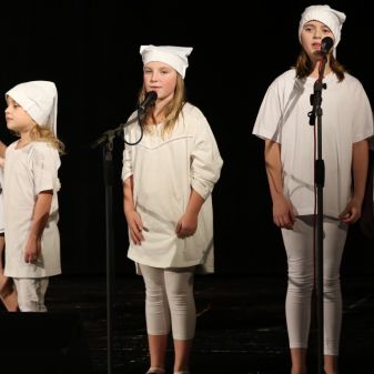 Svět pohádek - vystoupení TO a žáků pěvecké třídy L. Honzlové, 12. 12. 2016