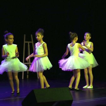 C:\fakepath\IMG 6810