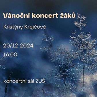 Koncert třídy Kristýny Krejčové