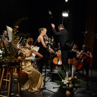 Galakoncert k 70. výročí založení ZUŠ a ke Dni boje za svobodu a demokracii, 14. 11. 2016