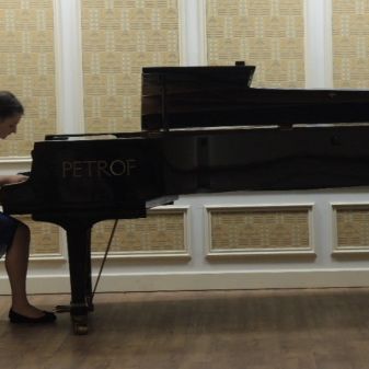 Soutěž hra na klavír - krajské kolo, Jihlava, 17.3. 2017