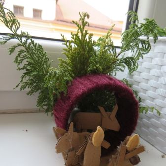 C:\fakepath\417372834 868150308645574 176020338965222698 n