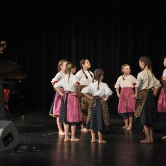 C:\fakepath\DSC 3067 a