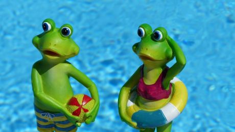 C:\fakepath\ronile frog 830869 1920