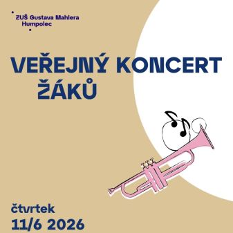 Veřejný koncert žáků