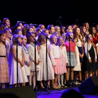 Šťastné & Veselé 2019! (žáci J. Borkové, L. Honzlové, M. Dvořáka)