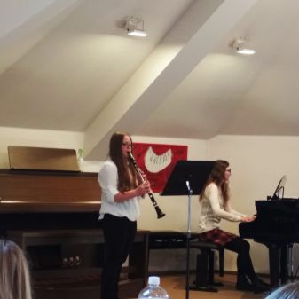 Okresní kolo dřeva