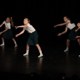 C:\fakepath\ DSC0053